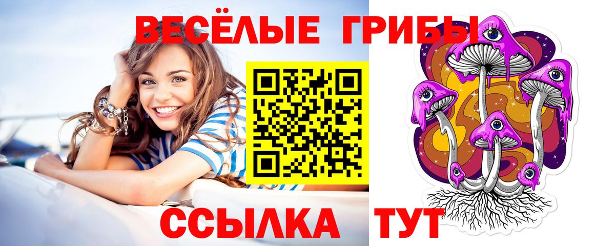 Псилоцибиновые грибы Cubensis  Вход с VPN  Алапаевск  Псилоцибиновые грибы MAGIC MUSHROOMS 