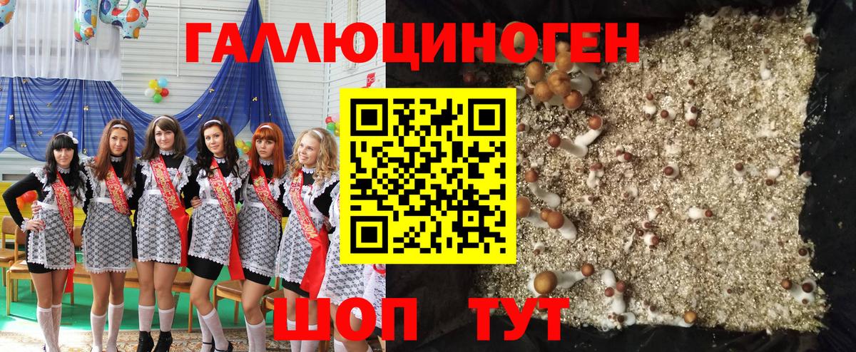 Псилоцибиновые грибы прущие грибы Алапаевск